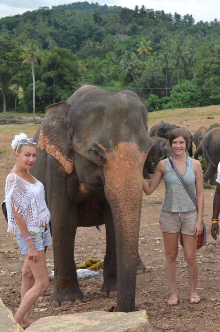 Шри-Ланка — Мальдивы. Mannequins, design, decoration, handmade, photographe…