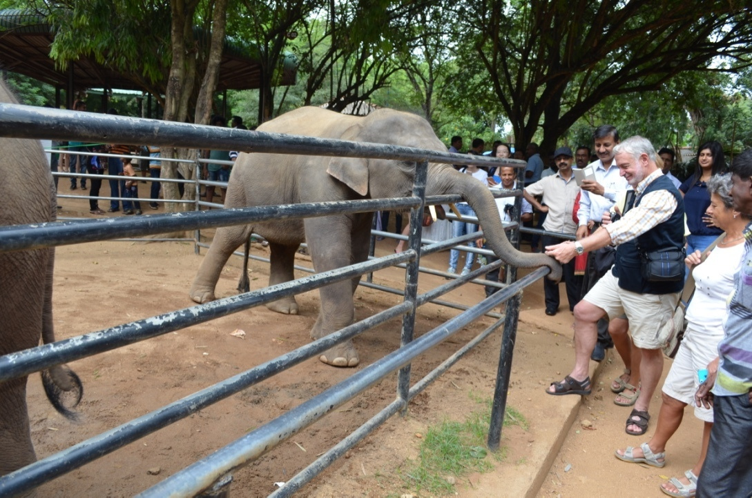 Шри-Ланка — Мальдивы. Mannequins, design, decoration, handmade, photographe…