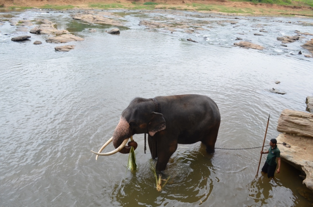 Шри-Ланка — Мальдивы. Mannequins, design, decoration, handmade, photographe…