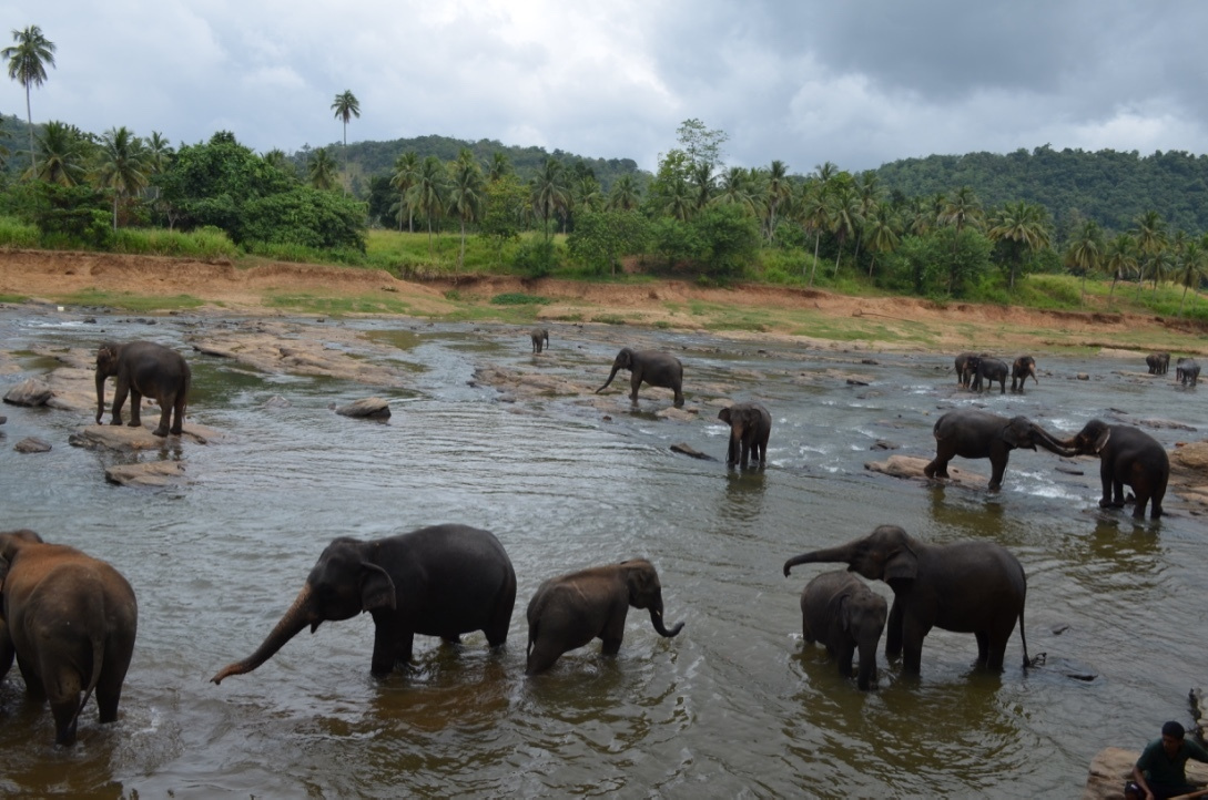 Шри-Ланка — Мальдивы. Mannequins, design, decoration, handmade, photographe…
