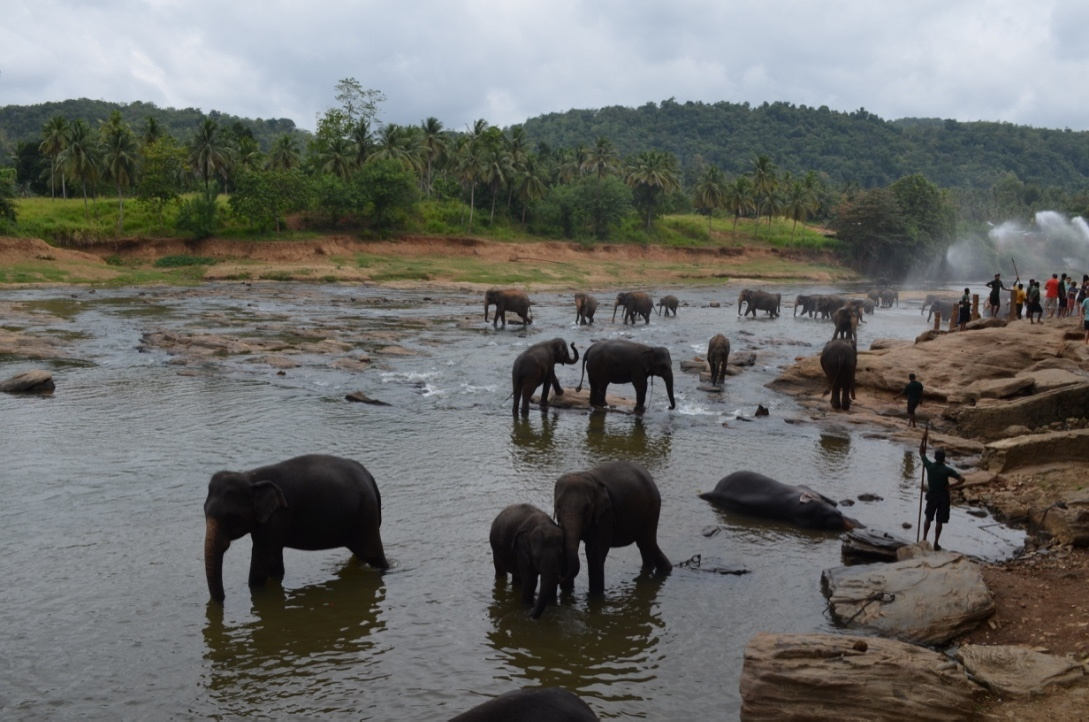 Шри-Ланка — Мальдивы. Mannequins, design, decoration, handmade, photographe…