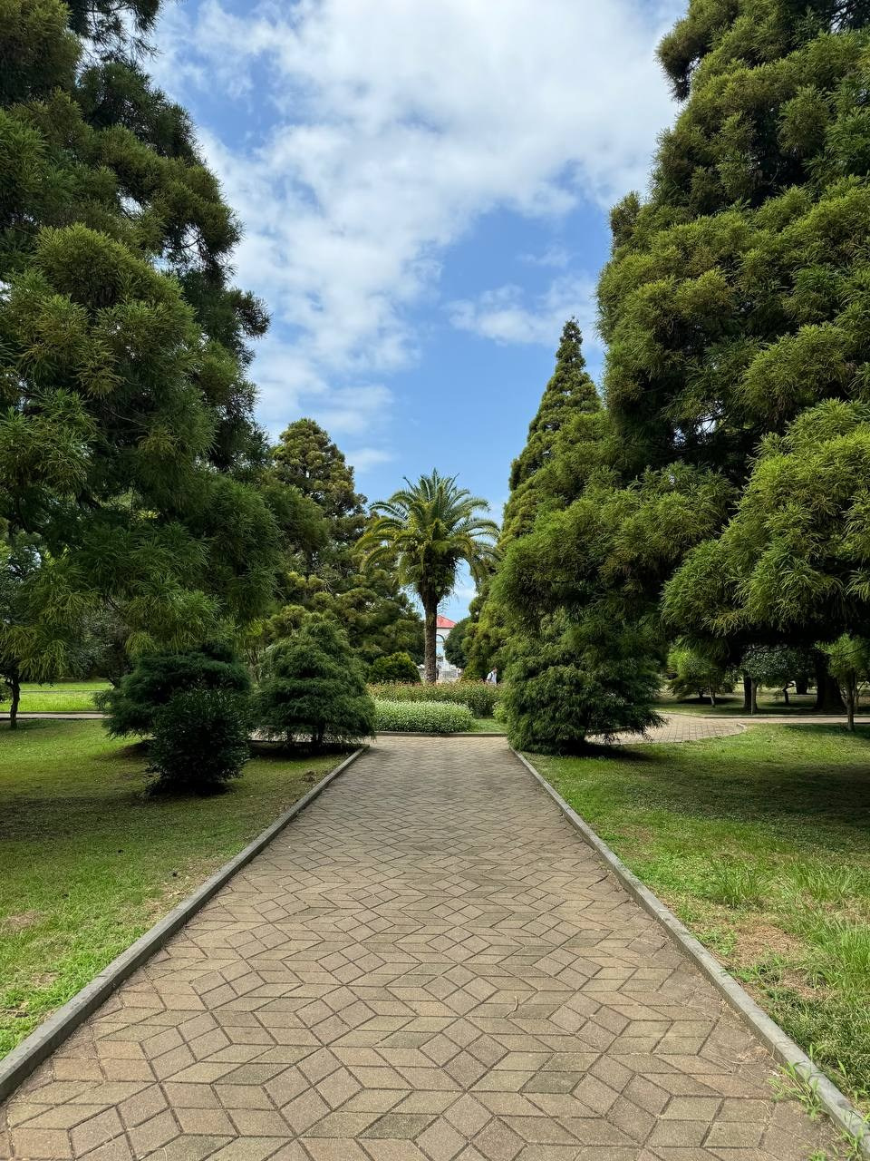 Romantic wedding ceremony in Batumi. Главная