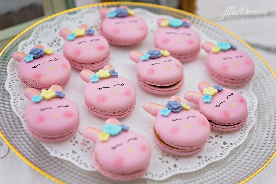 Party photography price guide. Newborn and family photographer. Hills District. Sydney