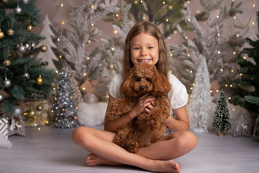 Christmas mini sessions 2025| Sydney. Newborn and family photographer. Hills District. Sydney