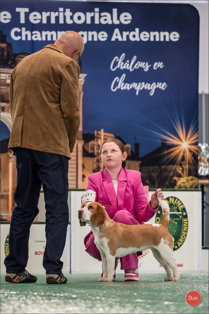 Expo canine 🇫🇷 Châlons-en-Champagne 22-23/02/2025. Photographe à Strasbourg | Portraits, Studio, Enfants, Événements