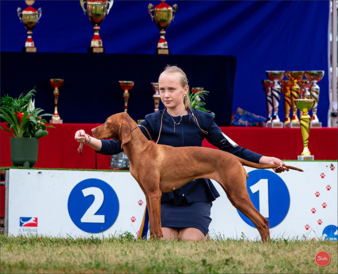Exposition Canine à STRASBOURG-HOERDT Dimanche 18 août 2024. Photographe à Strasbourg | Portraits, Studio, Enfants, Événements