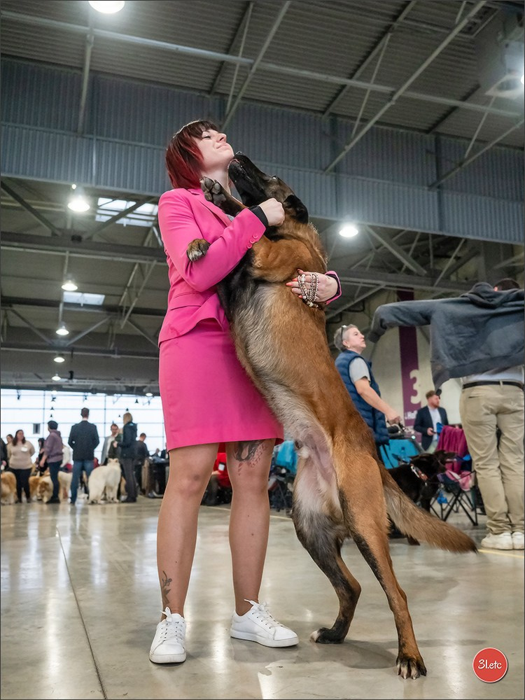 Expo canine 🇫🇷 Châlons-en-Champagne 22-23/02/2025. Photographe à Strasbourg | Portraits, Studio, Enfants, Événements
