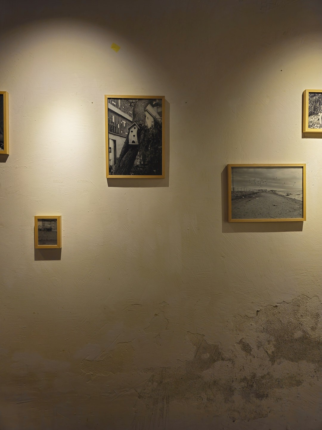 Installations. Visual artist