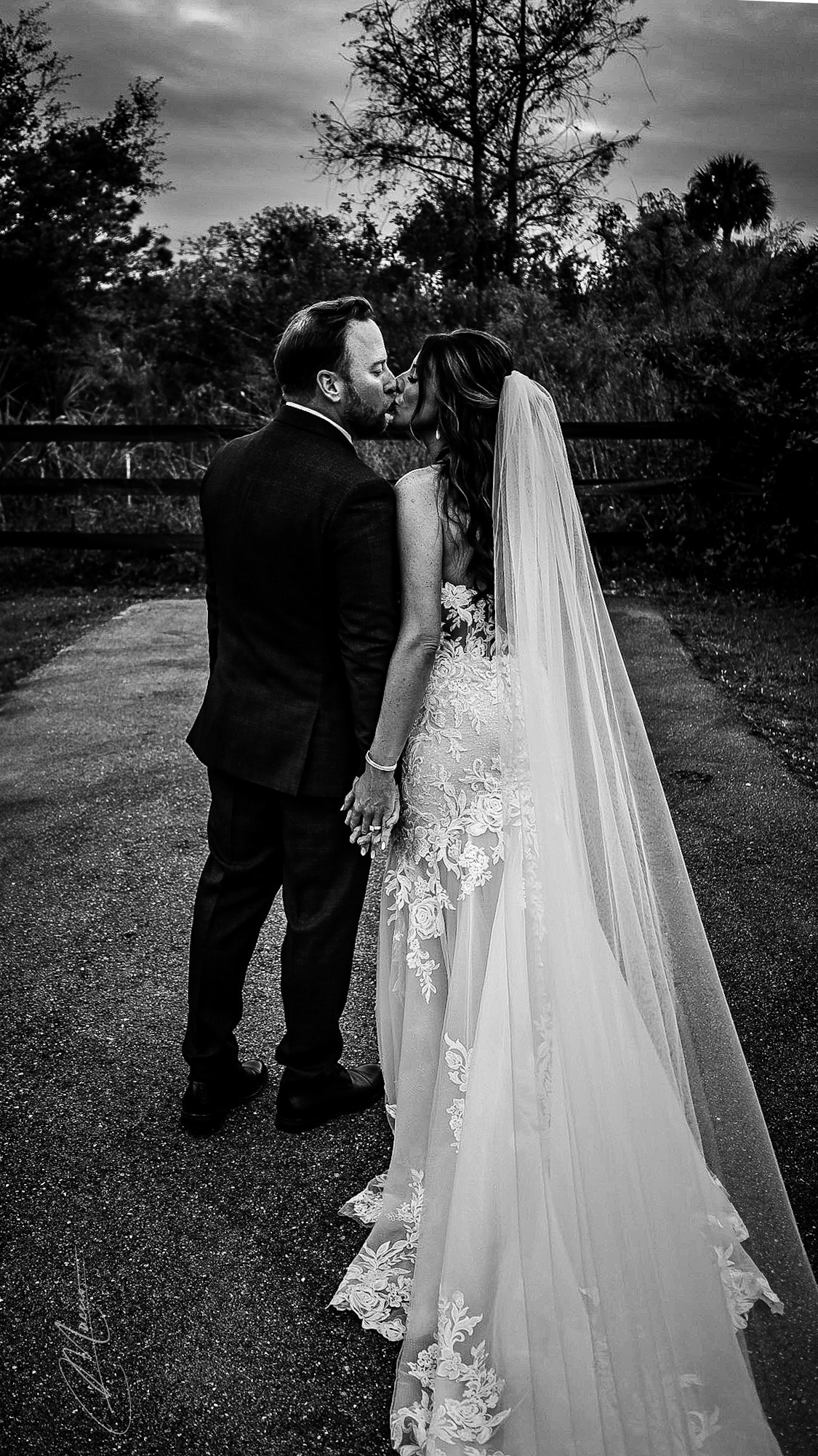 Home. Out and About 239