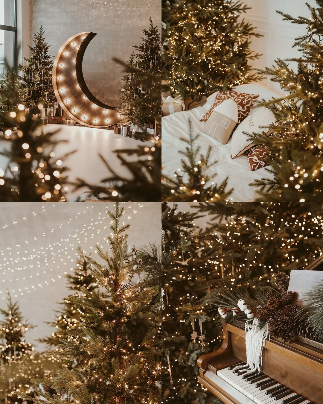 Студії новорічні. Весільний, сімейний фотограф Варшава