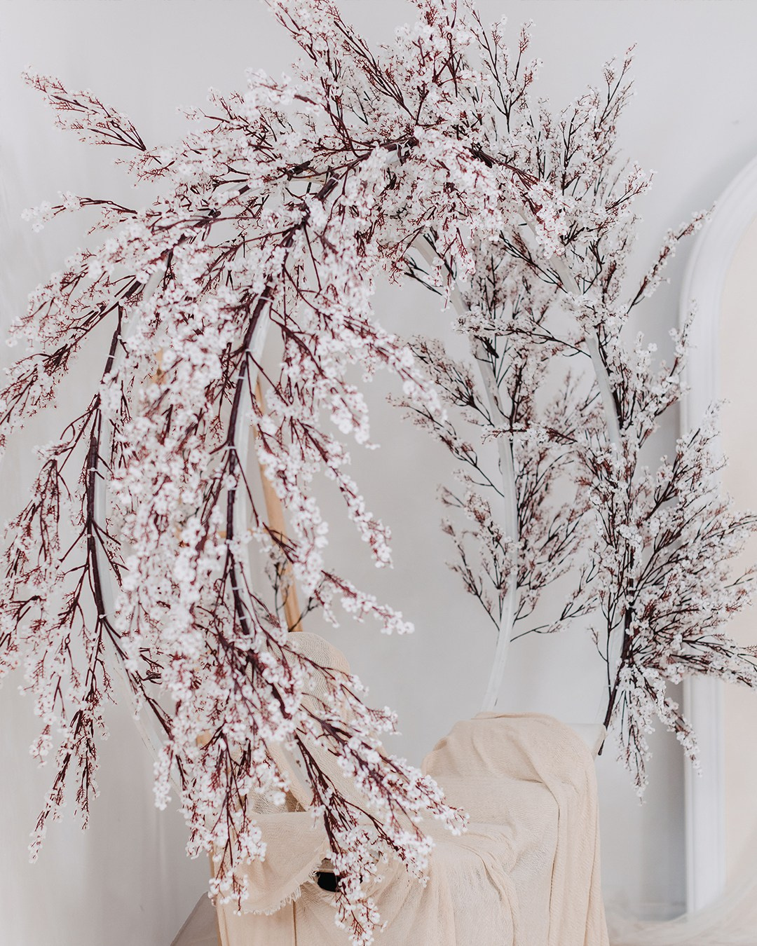 Sedinta Foto 1 An Suceava