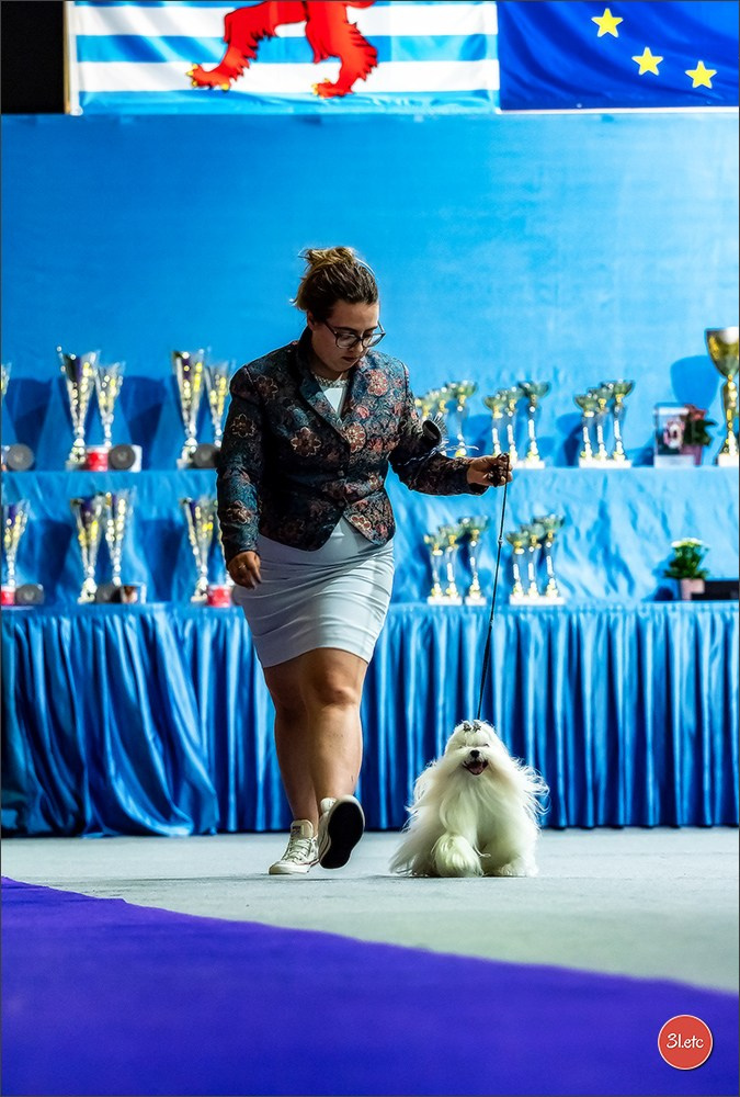 🇱🇺 LUXEMBOURG 🇱🇺 International Dog Show 🇱🇺 31/08 - 01/09/2024. Photographe à Strasbourg | Portraits, Studio, Enfants, Événements