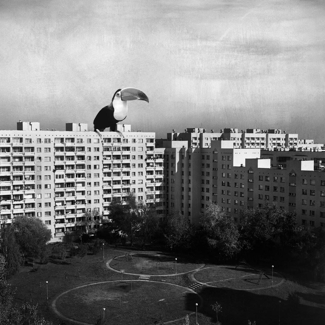 Postapocalypse. Halina Marduła, visual artist, lives and works in Wrocław (Poland)