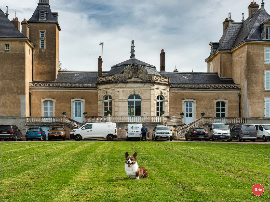 Exposition Canine Nationale  05/05/2024  CHALON-SUR-SAÔNE (Saône-et-Lo. Photographe à Strasbourg | Portraits, Studio, Enfants, Événements