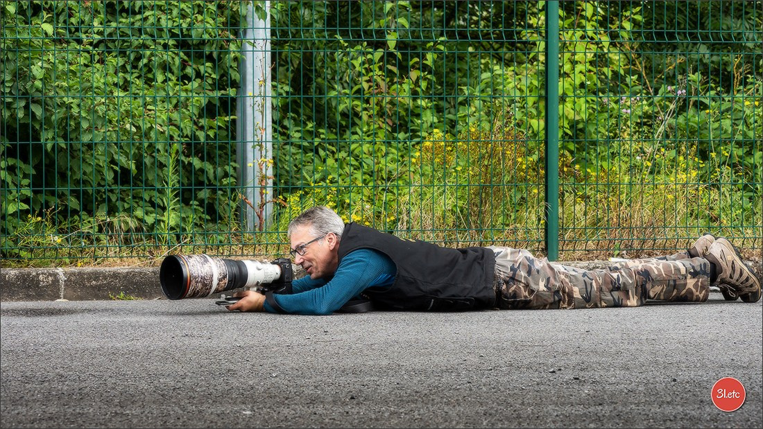Exposition Canine Internationale à DOUAI. Photographe à Strasbourg | Portraits, Studio, Enfants, Événements