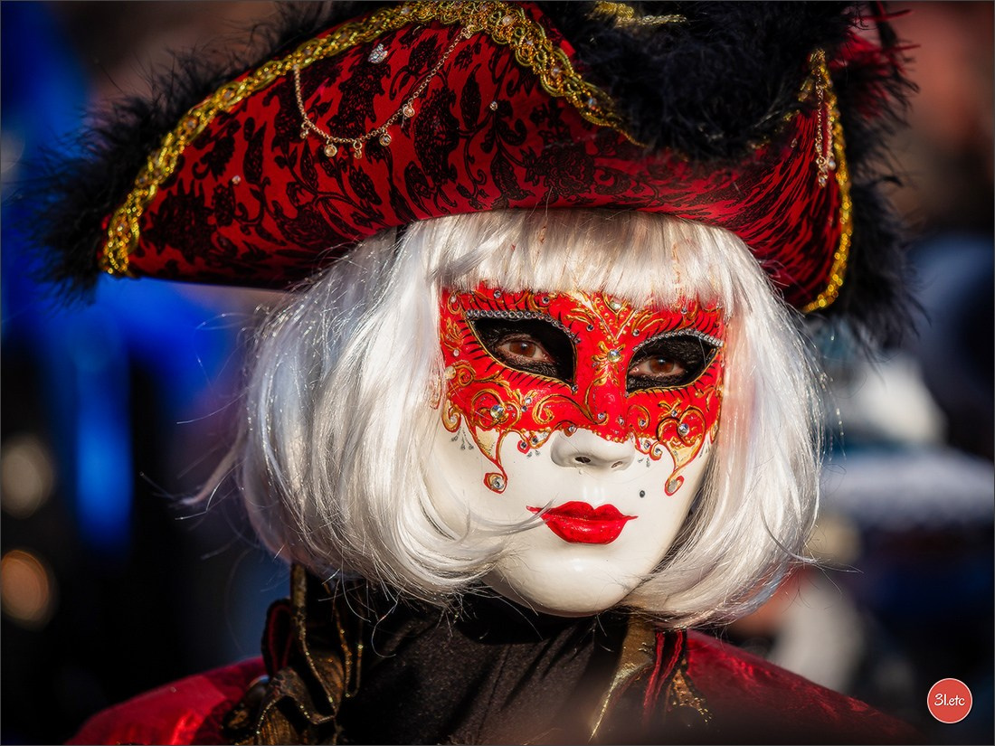 Concerts . Carnavals . Festivals. Photographe à Strasbourg | Portraits, Studio, Enfants, Événements