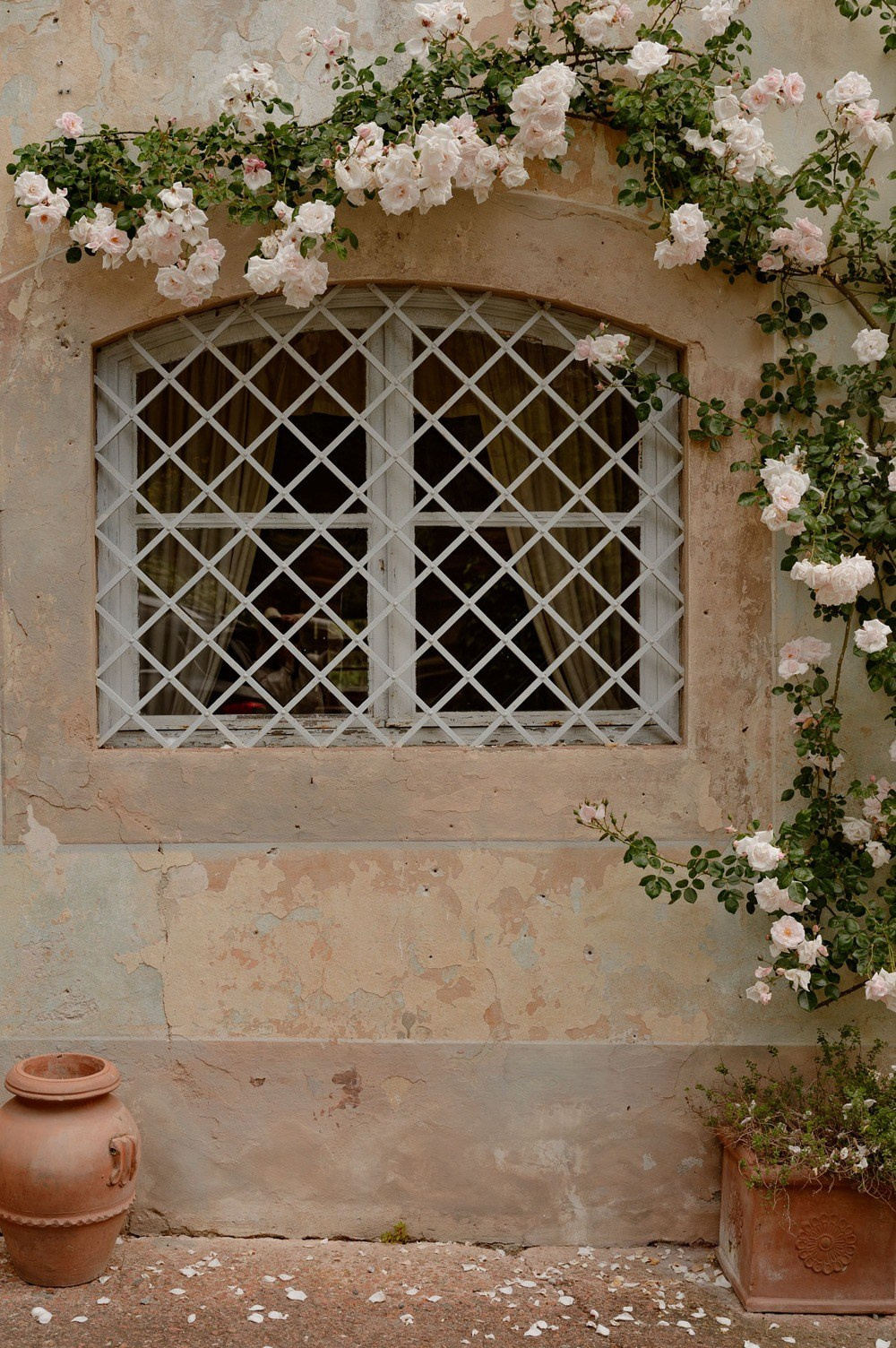 Wedding photography at Fattoria Mansi Bernardini, Lucca. Bella Vita Weddings — Wedding Photography in Dubai & Destination