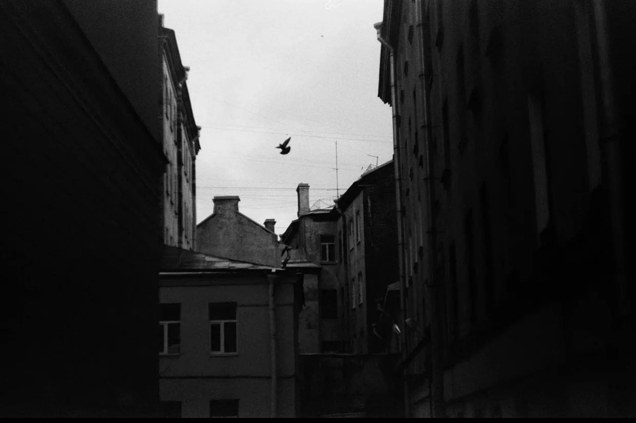 The White Dove of the Grey City Белый голубь серого города