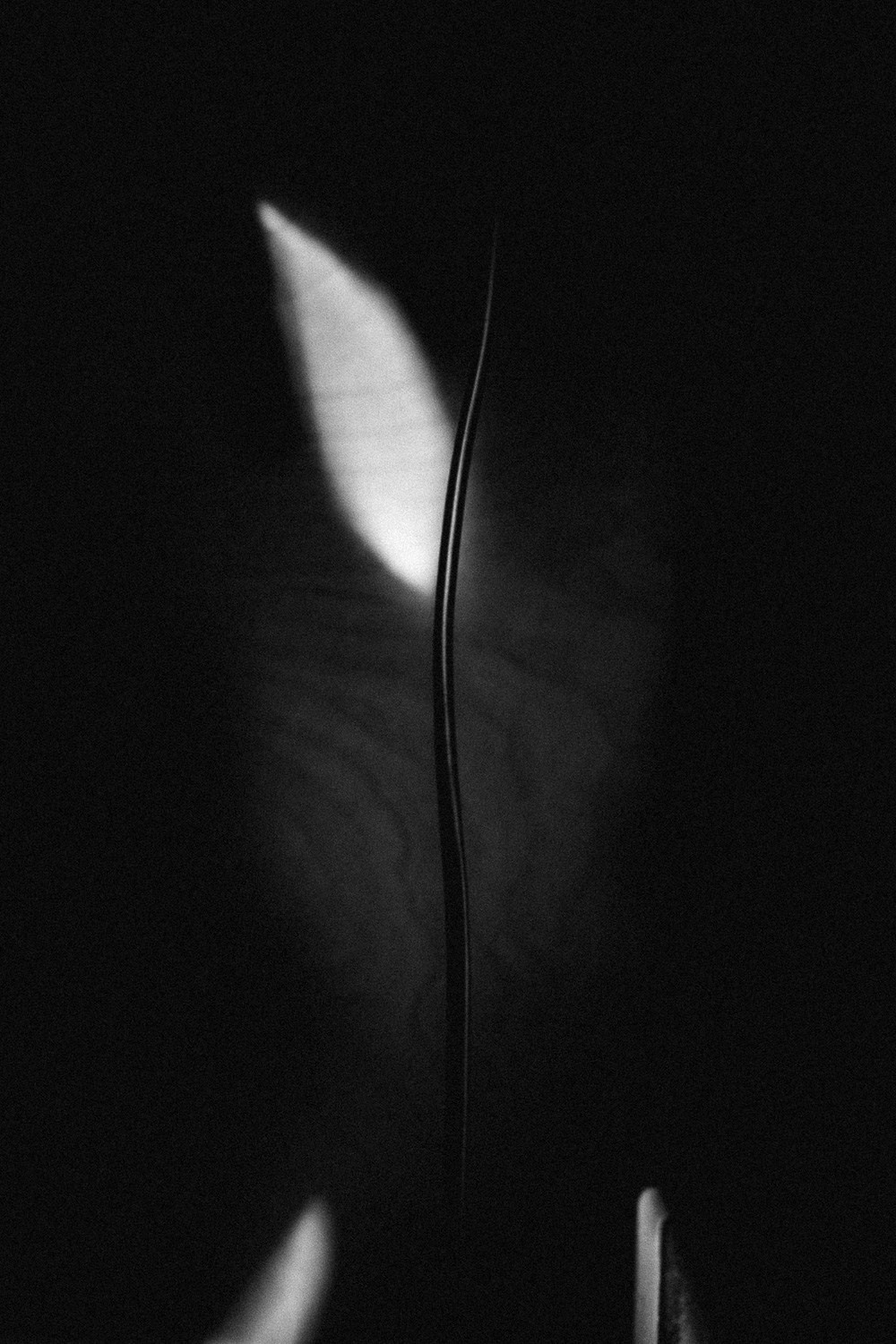 Олег Сатов, Санкт-Петербург. Photopolygon Mag