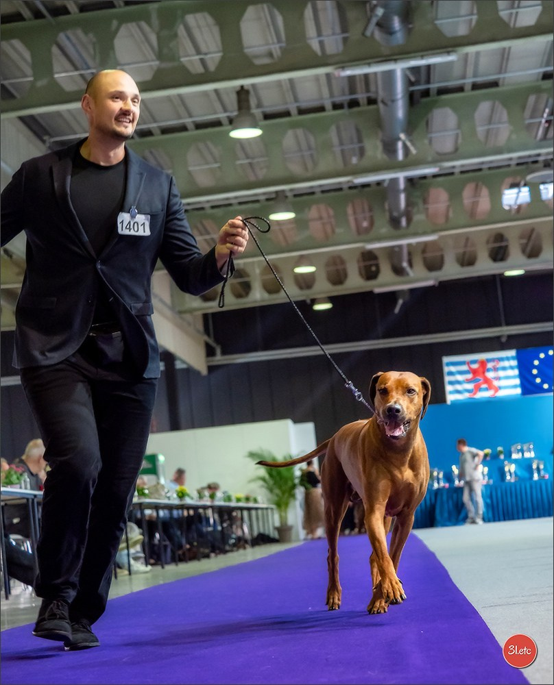 🇱🇺 LUXEMBOURG 🇱🇺 International Dog Show 🇱🇺 31/08 - 01/09/2024. Photographe à Strasbourg | Portraits, Studio, Enfants, Événements