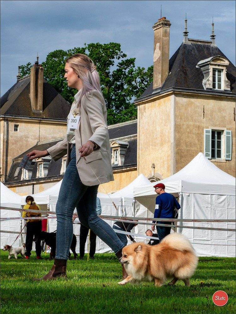 Exposition Canine Nationale  05/05/2024  CHALON-SUR-SAÔNE (Saône-et-Lo. Photographe à Strasbourg | Portraits, Studio, Enfants, Événements