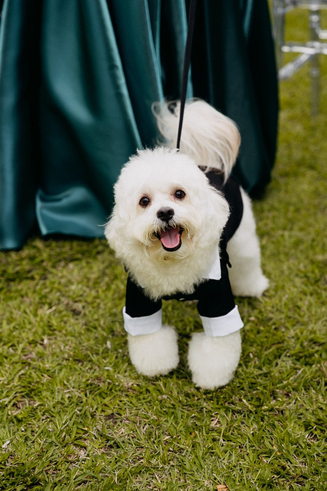 AMANDA & LEANDRO. EntreOlhares Fotografia e Filmagem de Casamentos em Recife/PE e João Pessoa/PB — Momentos únicos eternizados com sensibilidade