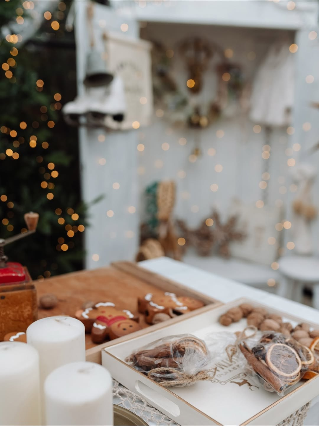 Студії новорічні. Весільний, сімейний фотограф Варшава