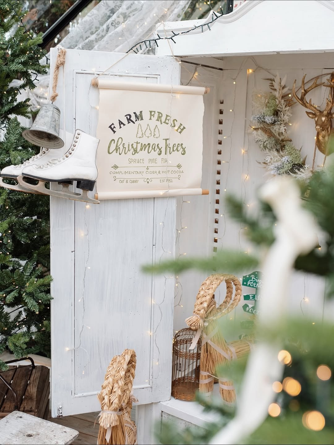 Студії новорічні. Весільний, сімейний фотограф Варшава