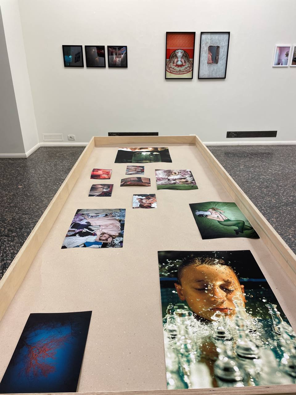 Dymchuk gallery Kyiv Ukraine anna biletska