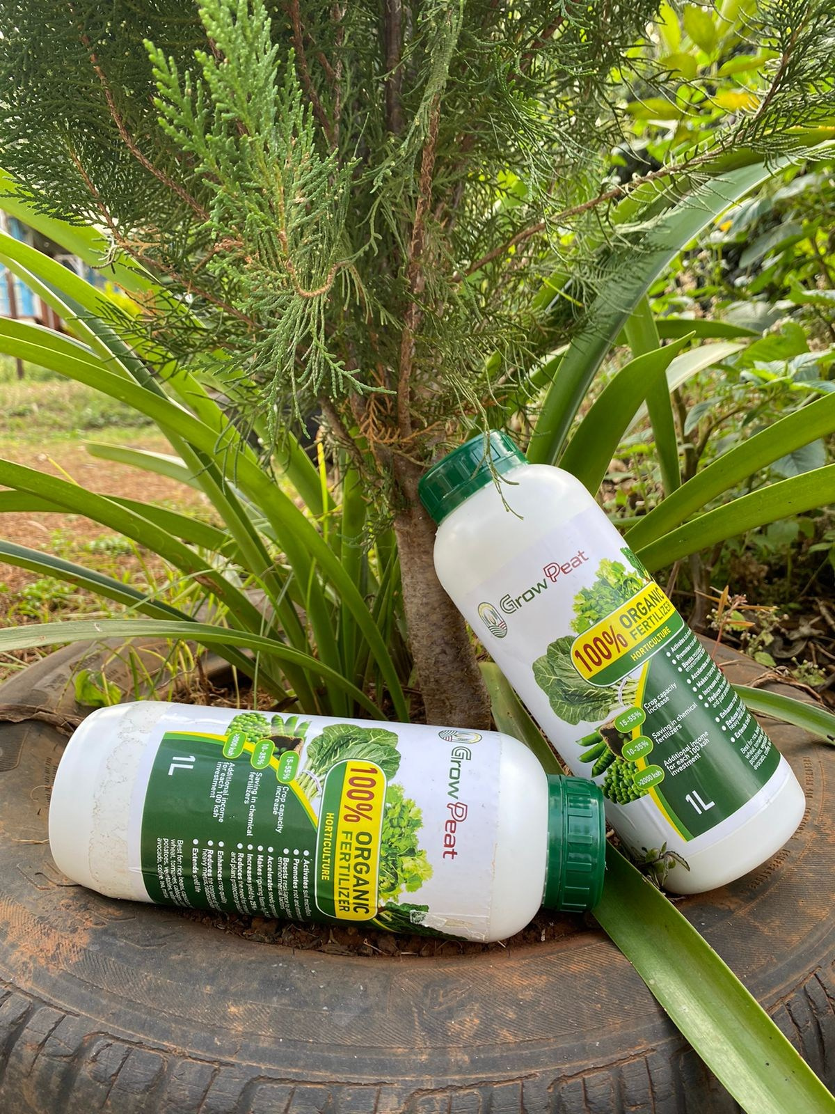 Grow Peat Organic Farming Training Crops and Sustainable Agriculture. Boost Plant Growth with Organic Fertilizers: Our Effective Solution