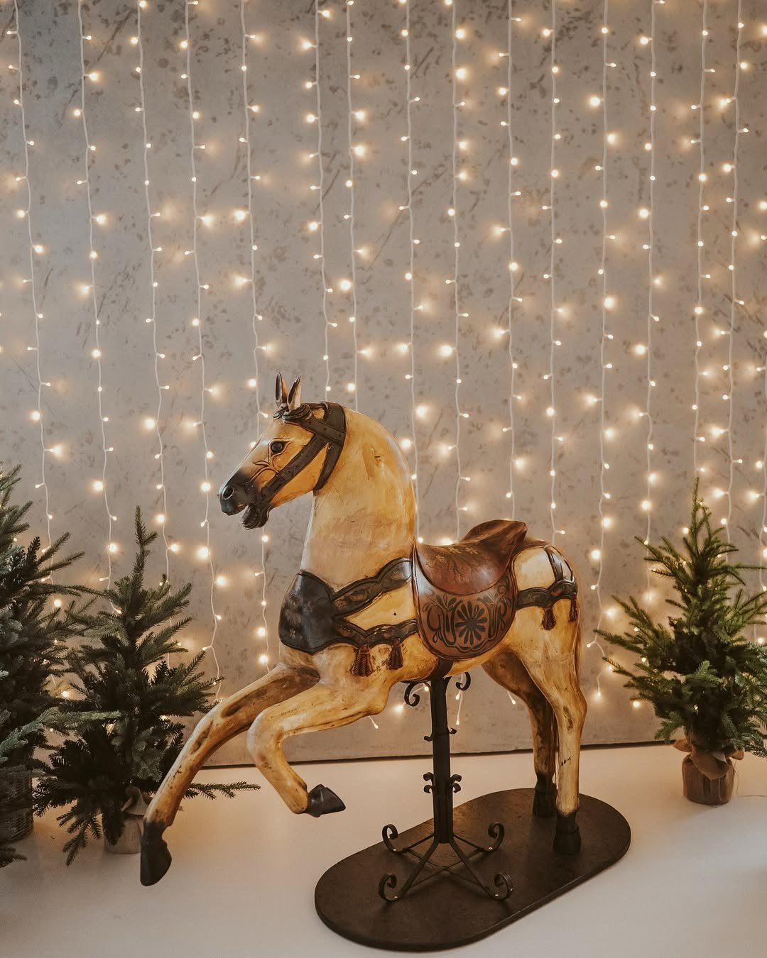 Студії новорічні. Весільний, сімейний фотограф Варшава