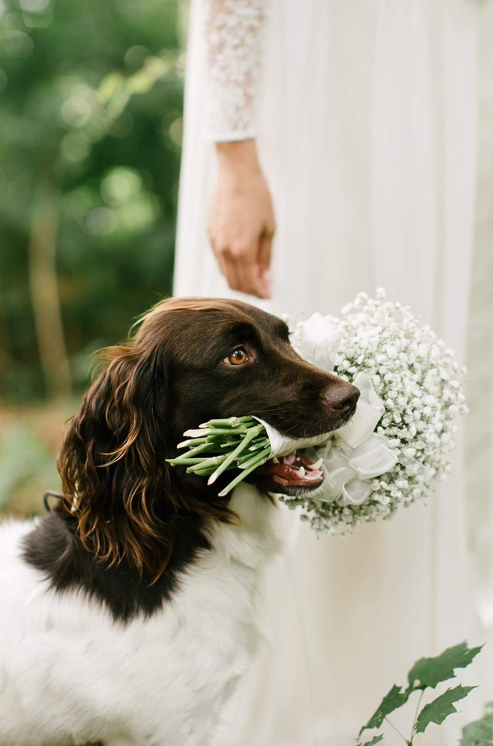 Fotografin aus Berlin Yuliya. Hochzeitsvideo, Hochzeitsfilm, Hochzeitsvideograf Berlin