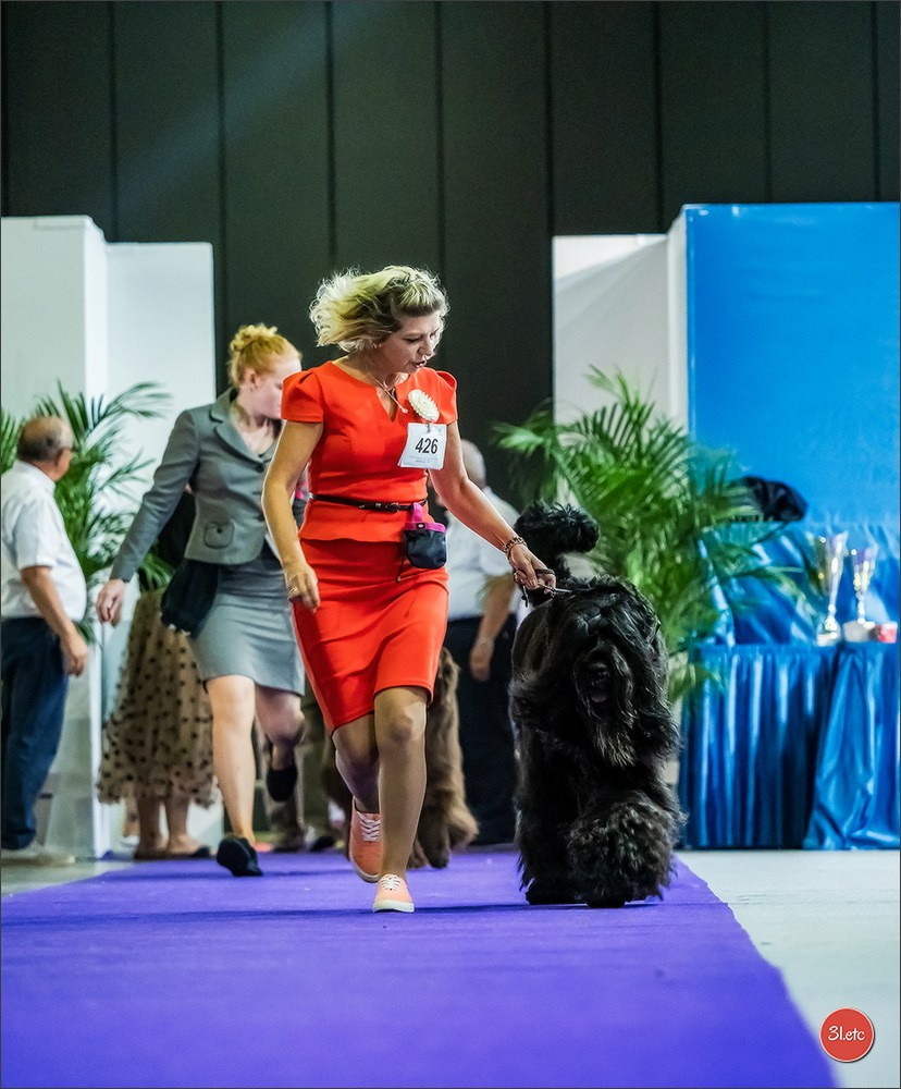 🇱🇺 LUXEMBOURG 🇱🇺 International Dog Show 🇱🇺 31/08 - 01/09/2024. Photographe à Strasbourg | Portraits, Studio, Enfants, Événements