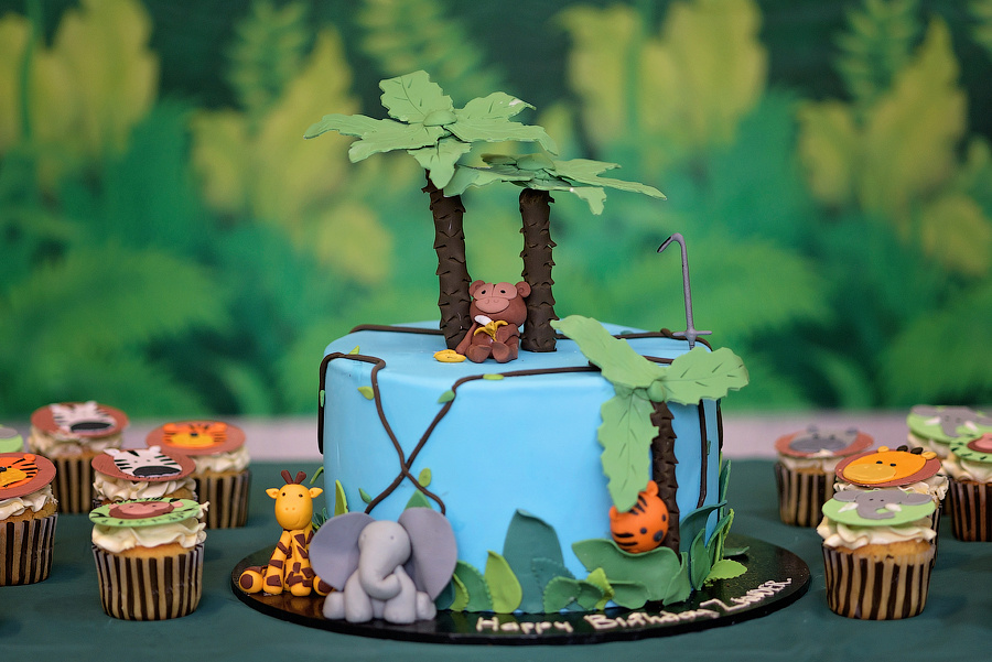 Party photography price guide. Newborn and family photographer. Hills District. Sydney