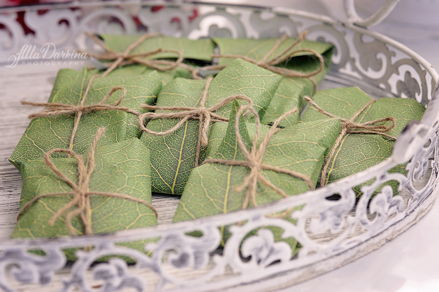 Party photography price guide. Newborn and family photographer. Hills District. Sydney