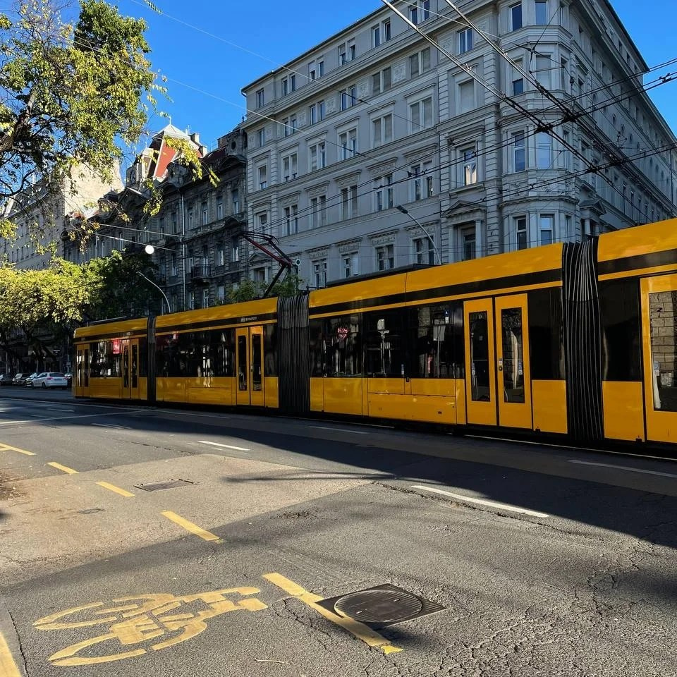 Сайт Ольги Беренштейн. Визуальный брендинг