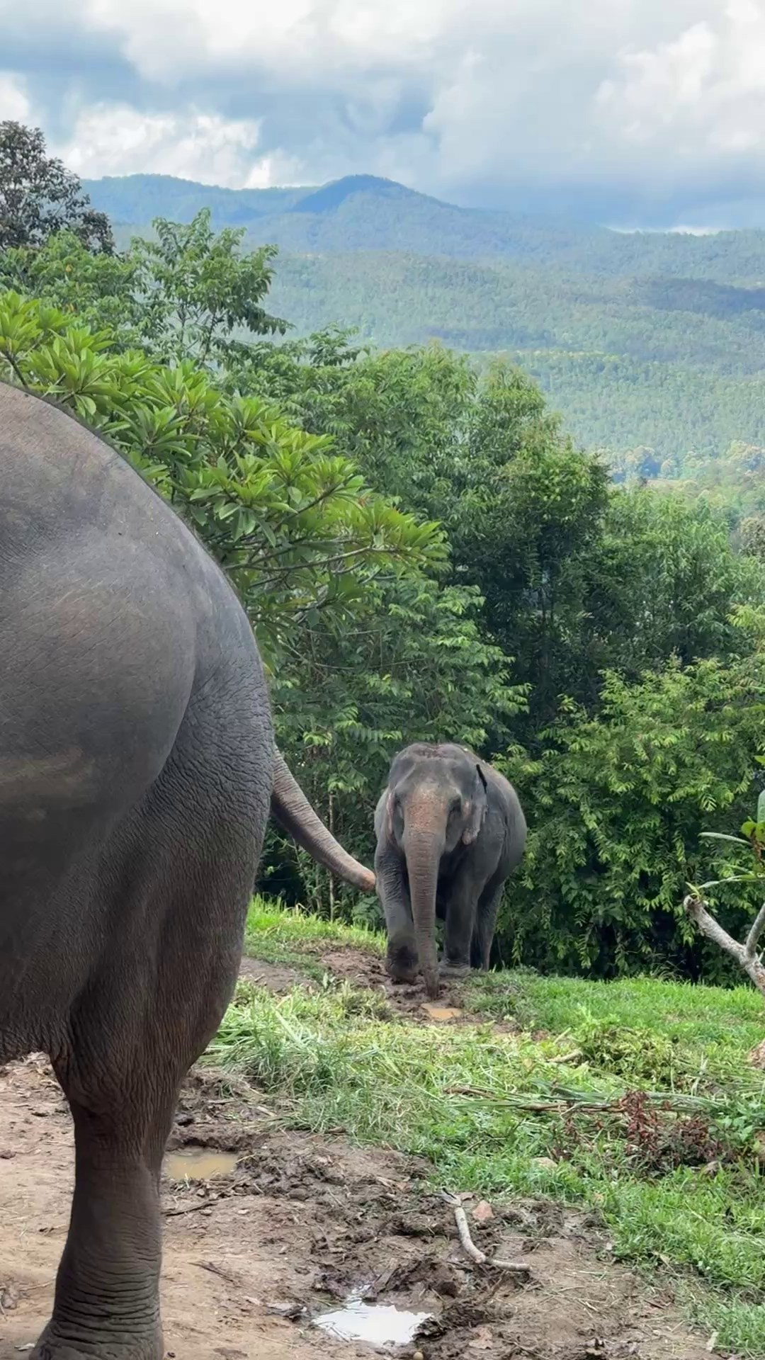 Совместное путешествие на север Таиланда. Женский клуб в Паттайе