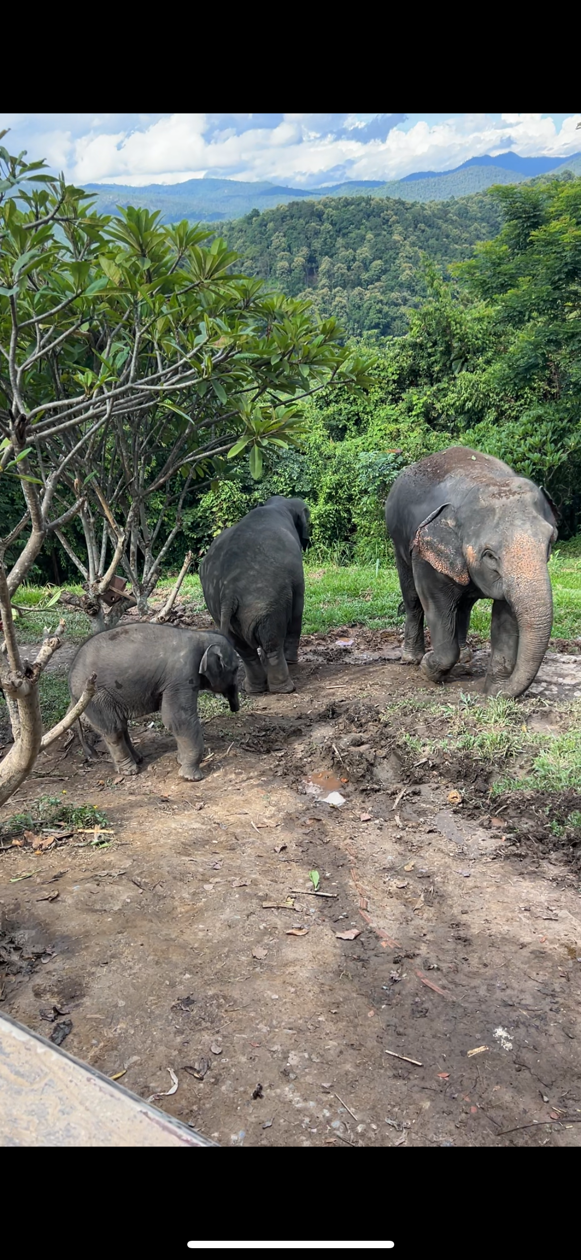Совместное путешествие на север Таиланда. Женский клуб в Паттайе