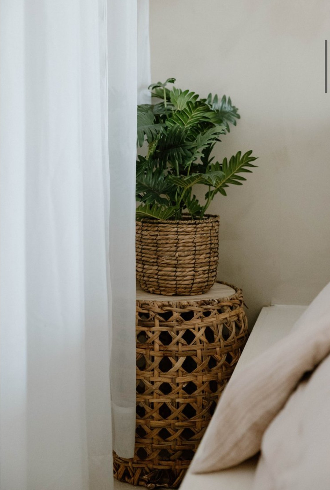 Studio photoshoot. Kitchener Waterloo Cambridge Photographer — Olga Ro