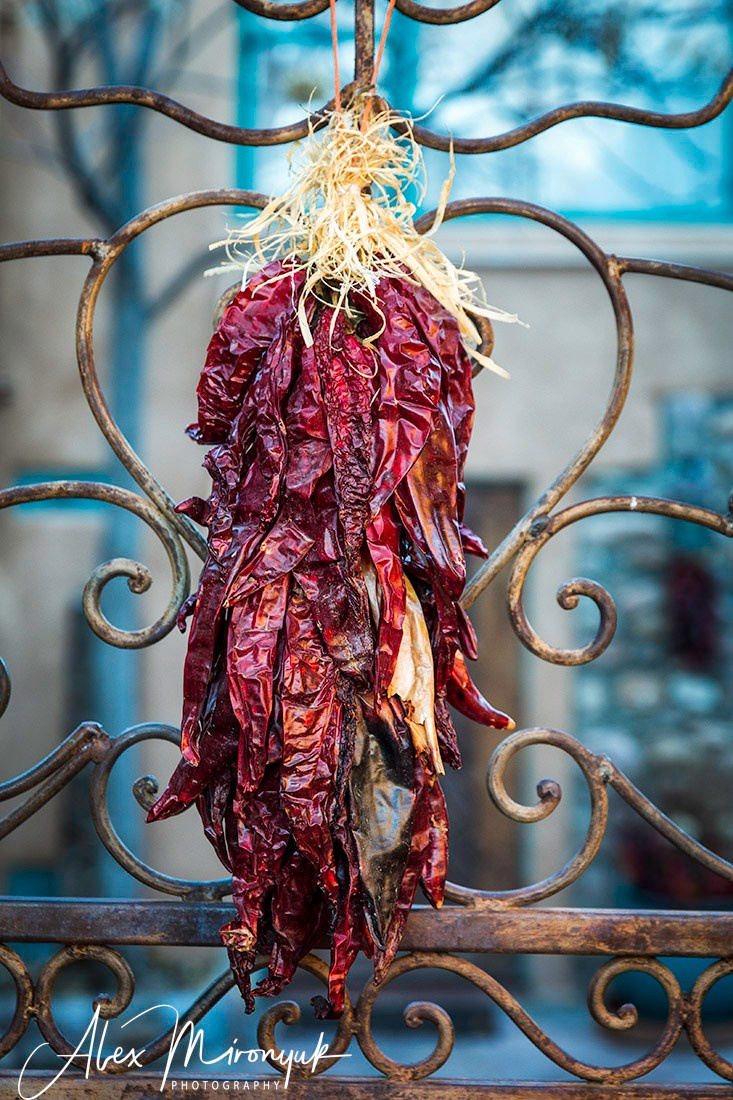 The Best of New Mexico. Pet, Senior, Landscape, portrait studio, photographer in Miami and Sou