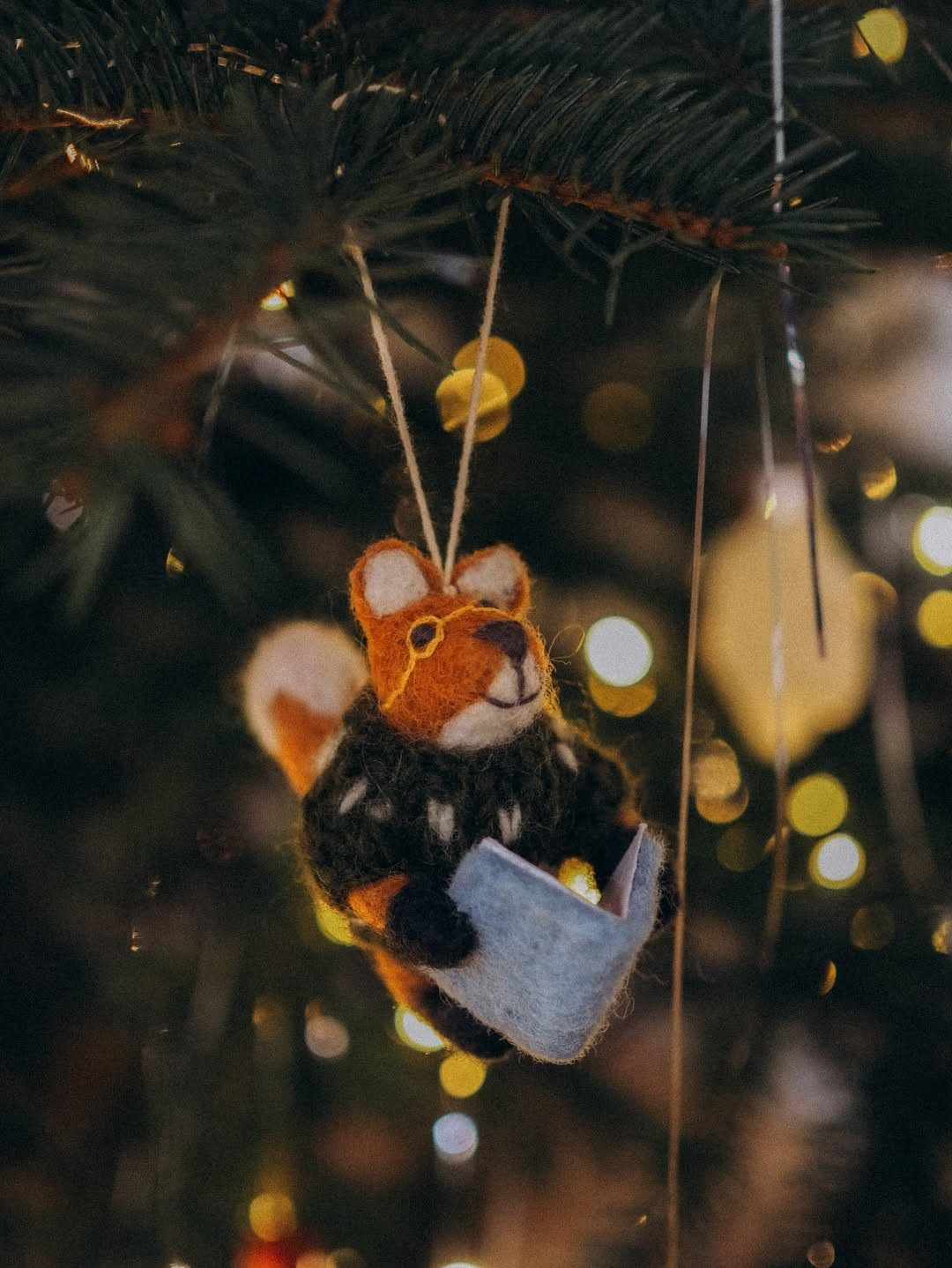 Студії новорічні. Весільний, сімейний фотограф Варшава