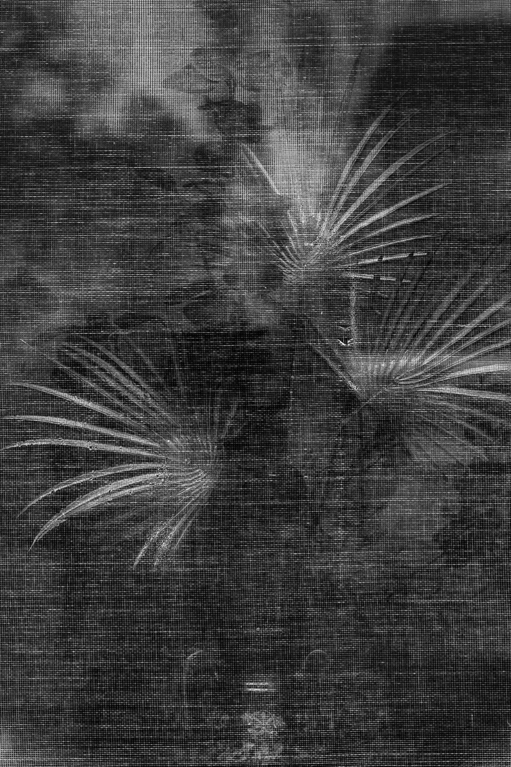 Олег Сатов, Санкт-Петербург. Photopolygon Mag