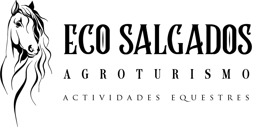 Beyond Creative 20 | Cinematic Video & Photography Production Lisbon & Algarve