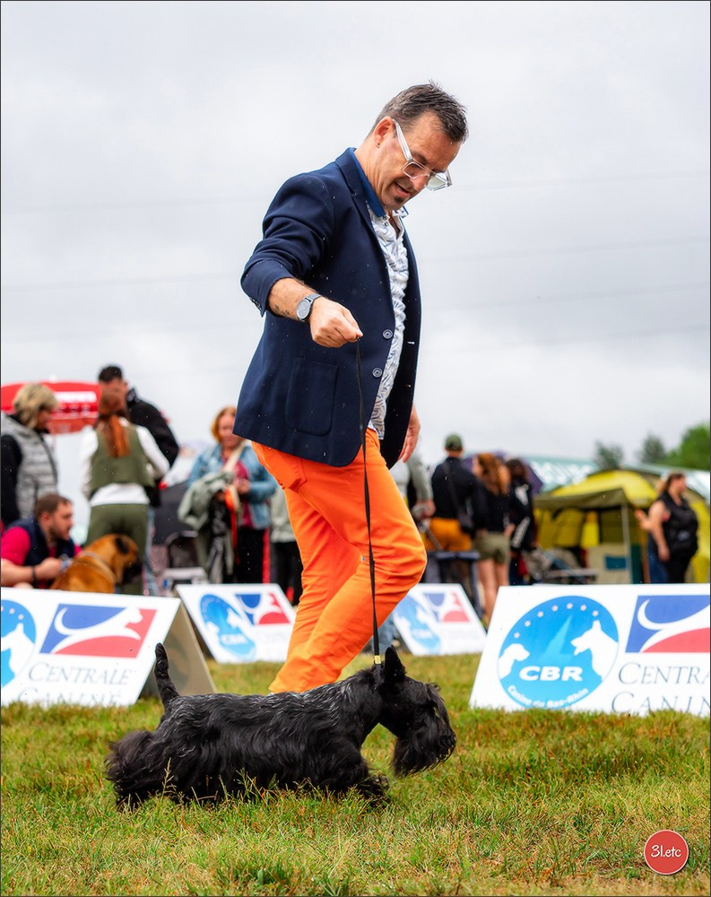 Exposition Canine à STRASBOURG-HOERDT Dimanche 18 août 2024. Photographe à Strasbourg | Portraits, Studio, Enfants, Événements
