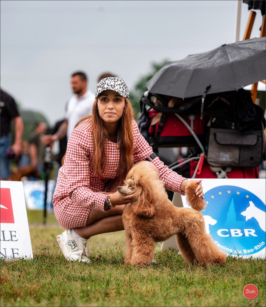Exposition Canine à STRASBOURG-HOERDT Dimanche 18 août 2024. Photographe à Strasbourg | Portraits, Studio, Enfants, Événements