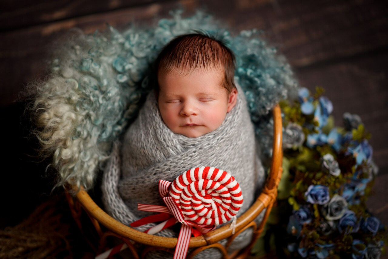 Sedinte foto nou-nascut. Cuibul foto