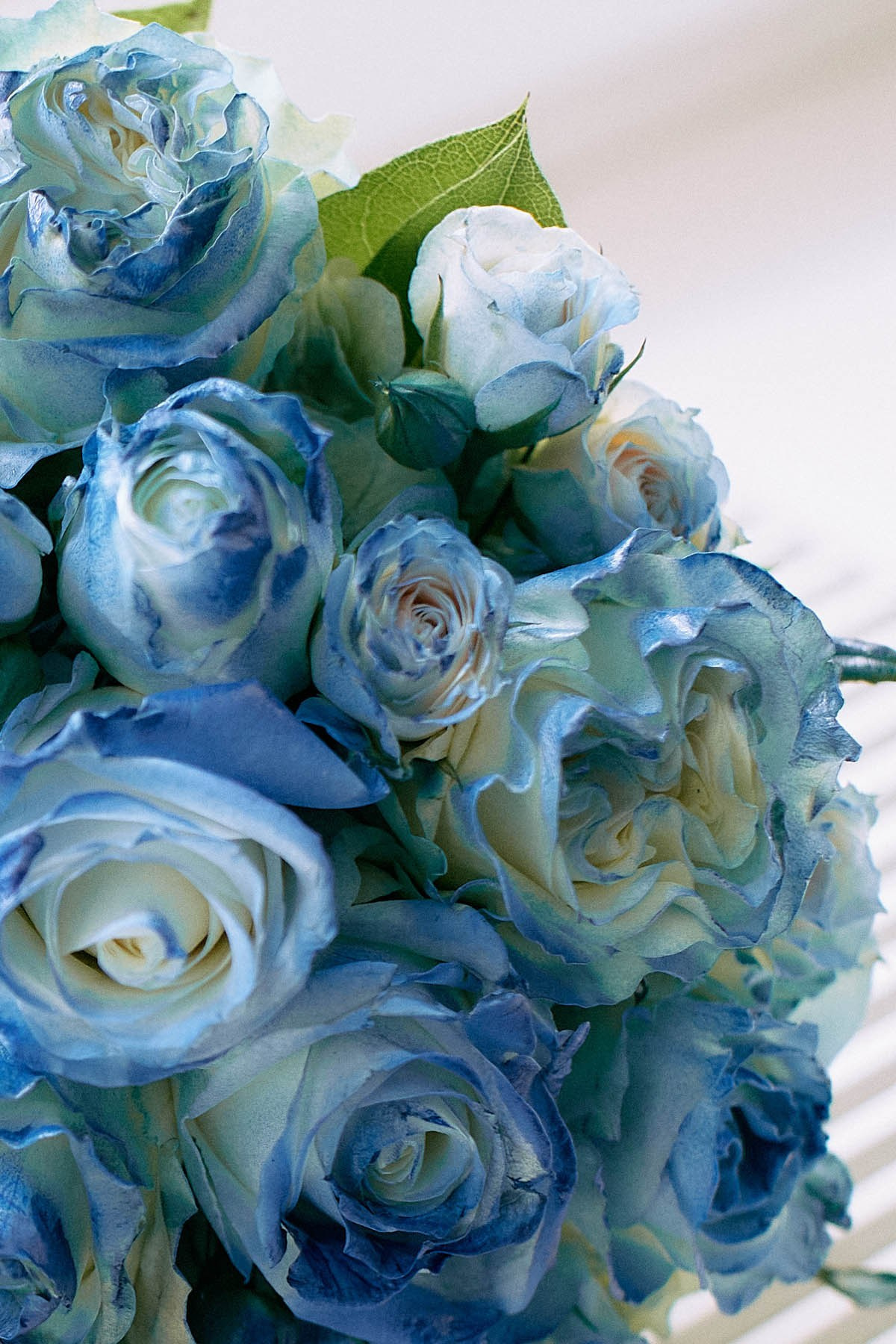 Intimate Belvedere Palace Wedding | Vienna Love Story