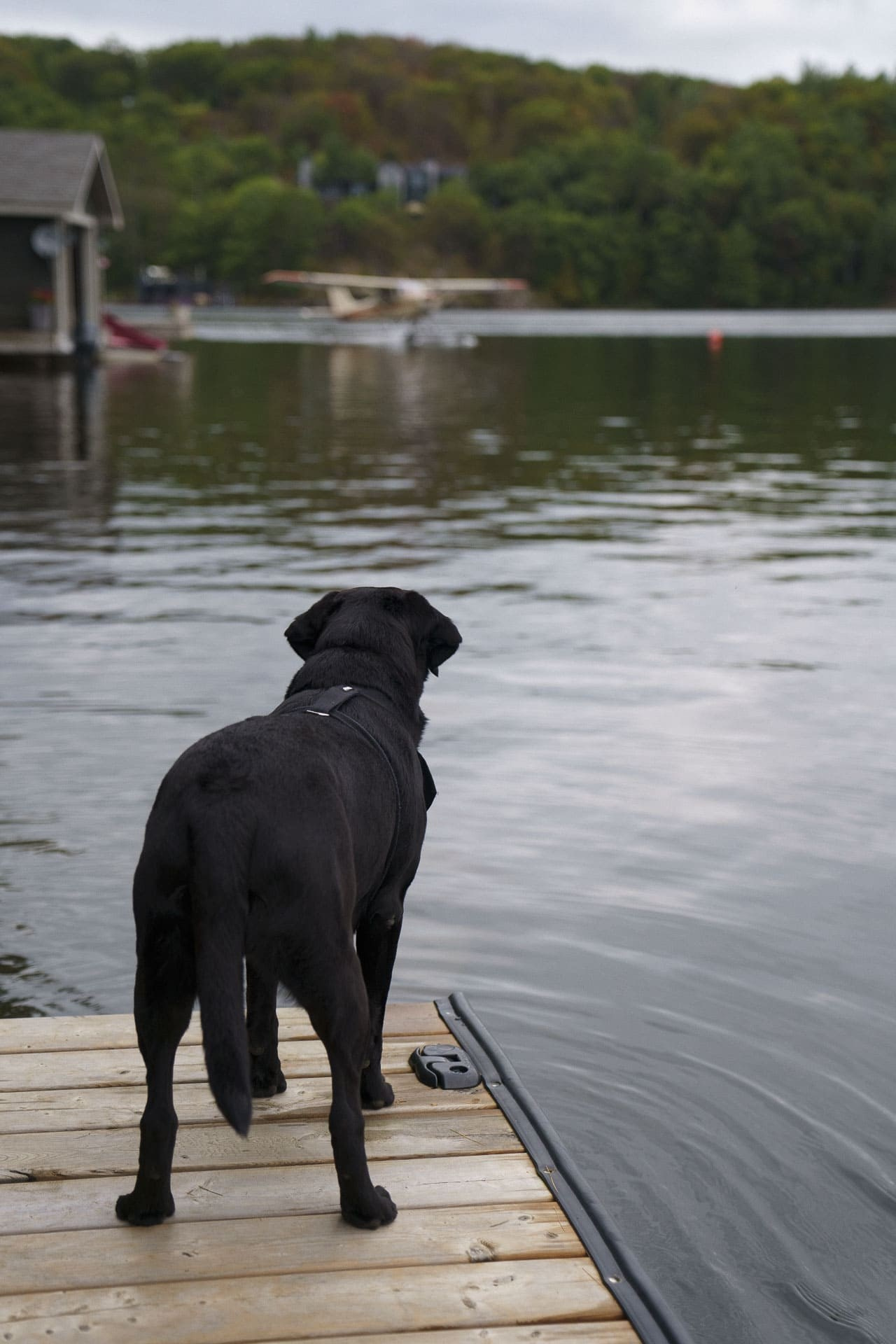 Lara & Mitch’s Candid Wedding Photos | Documentary-Style Wedding Photography | Toronto, GTA, Vaughan, Mississauga. Storytellers Films — Candid Wedding Videographer & Photographer in Toronto, Ontario and beyond