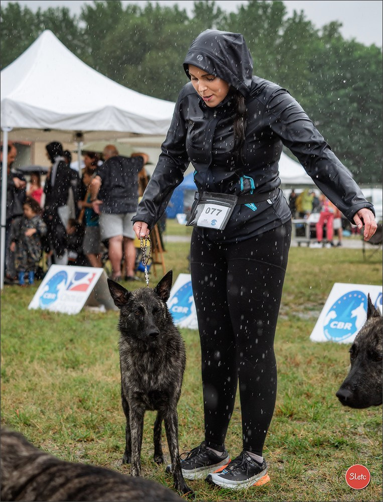 Exposition Canine à STRASBOURG-HOERDT Dimanche 18 août 2024. Photographe à Strasbourg | Portraits, Studio, Enfants, Événements