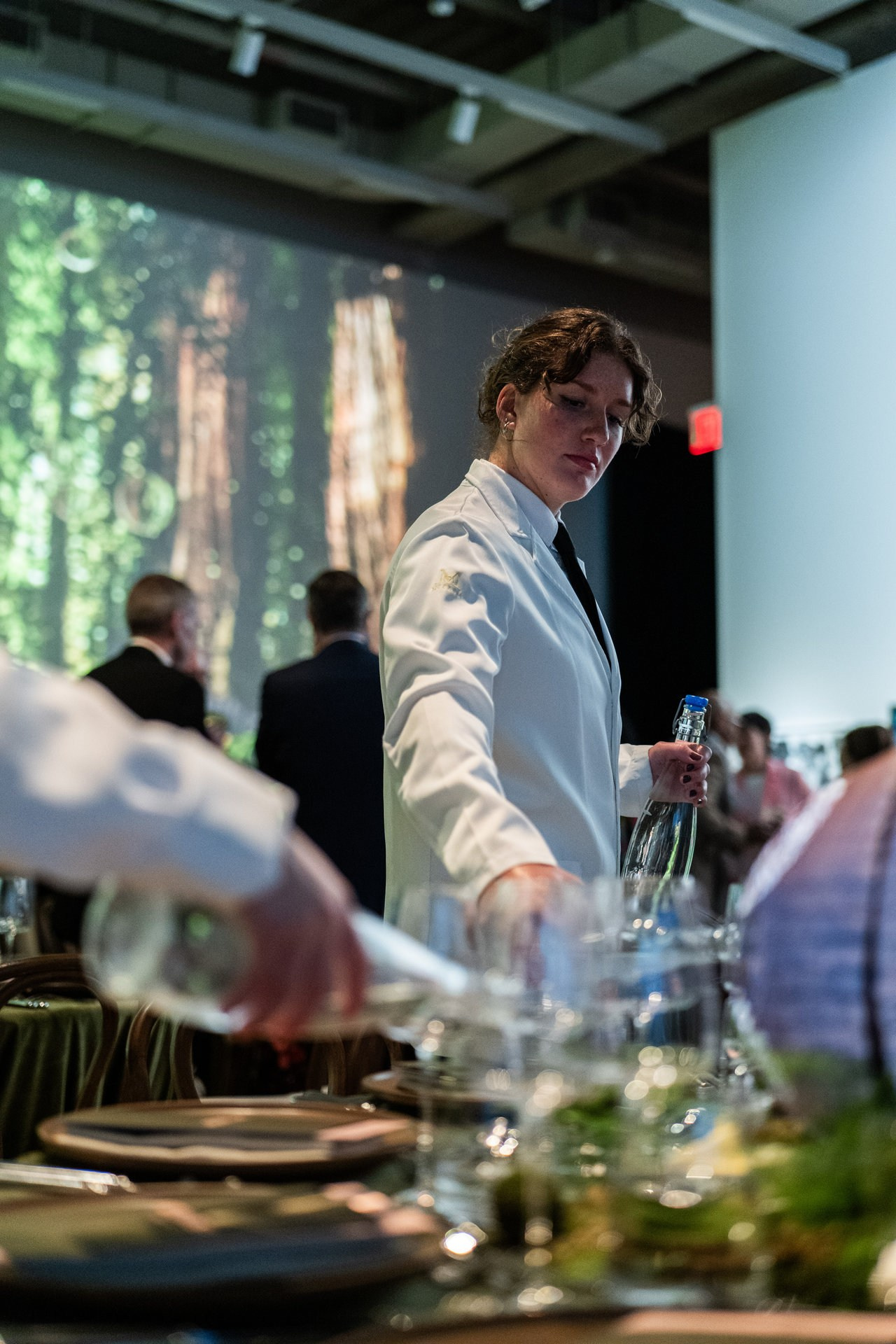 Events. Daniel Vegera — Artistic & Business Photography in San Francisco